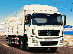 DongFeng Truck